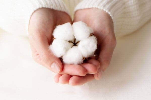 100% ägyptische Baumwolle