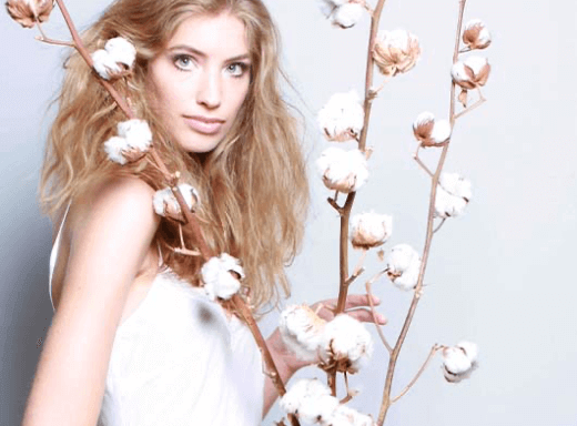 ägyptische Baumwolle